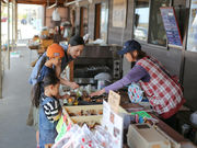 ���여��ό��D�D �n�����V�҉�&�C�J�t�F�̎ʐ^4