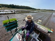 �� Rice Farm�̎ʐ^3