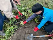 anokonofarm�̎ʐ^4