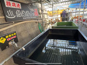 �M�C�_�C�r���O�̌����V���m�[�P�� All Marine Atami�̎ʐ^4