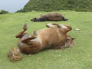 N�^�N�V�[�̎ʐ^3