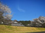 �ɉ�E���鉮�~�������̎ʐ^2