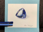 ���A���F���M�̎ʐ^2