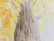 ���A���F���M�̎ʐ^3