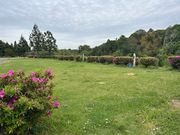 campfield MARC WEST�̎ʐ^3