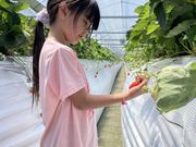 �݂₼�̃t�@�[���̎ʐ^2