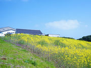 ���̑��𑢂̎ʐ^3