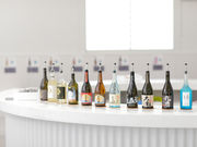 ���̑��𑢂̎ʐ^4