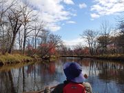 ���݃s�[�X�t�����o�[�J�k�[�̎ʐ^3