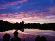 ���݃s�[�X�t�����o�[�J�k�[�̎ʐ^4