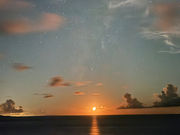 �G�R�c�A�[�K�C�hNAO�̎ʐ^3