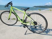 �V�����k�T�C�N���c�[���Y���̎ʐ^2