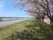 �V�����k�T�C�N���c�[���Y���̎ʐ^3