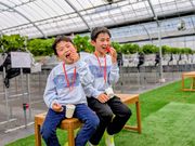 THEFARM_strawberry�x�W�t���t�@�[���������_���̎ʐ^3