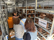 �z�b�v�t�@�[���̎ʐ^2