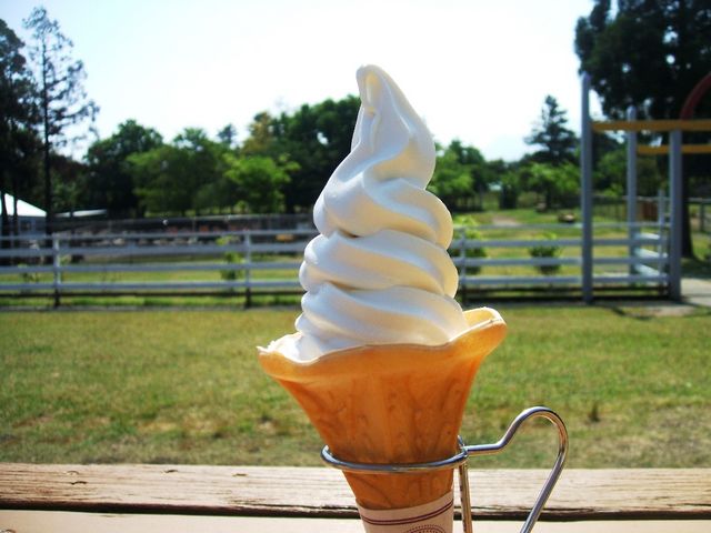 �������M���\�t�g�N���[����_��R�g���E�\�[���q��