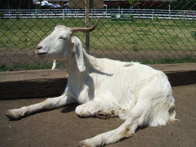 ���M����_��R�g���E�\�[���q��