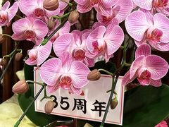 ���������� �~���t�B�[���̎ʐ^1