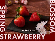 on A TABLE �I���A�^�[�u���̎ʐ^1