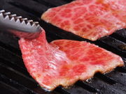 �O�K���̎ʐ^1