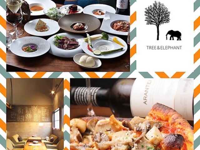 TREE&ELEPHANT c[AhGt@g̎ʐ^1