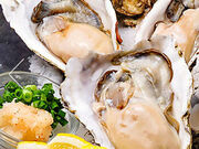 EAST BLUE �C�[�X�g�u���[ �r�ܓ����X�̎ʐ^1