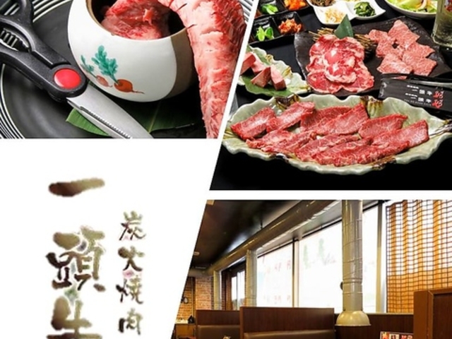 YΏē ꓪ Ԃ₵VOX̎ʐ^1