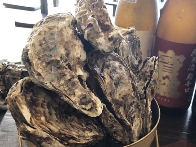 �L�����y�� ��O����o�P�c �����X�̎ʐ^1