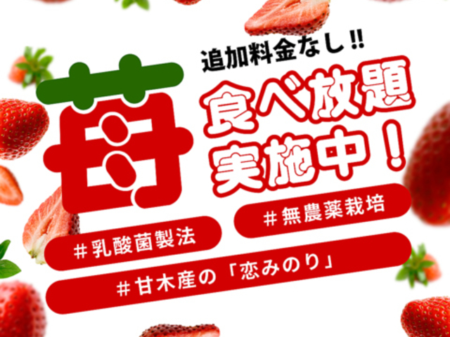 �{�i�Y�Ώē� �M�̎ʐ^1