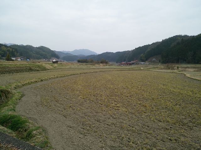 ���n�����