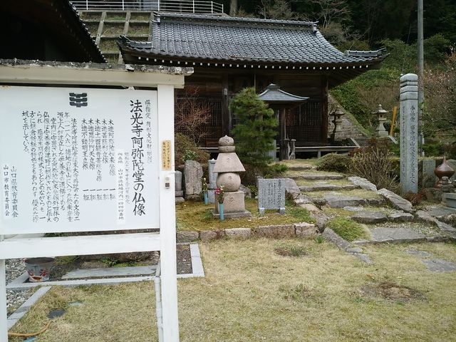 ���n�����