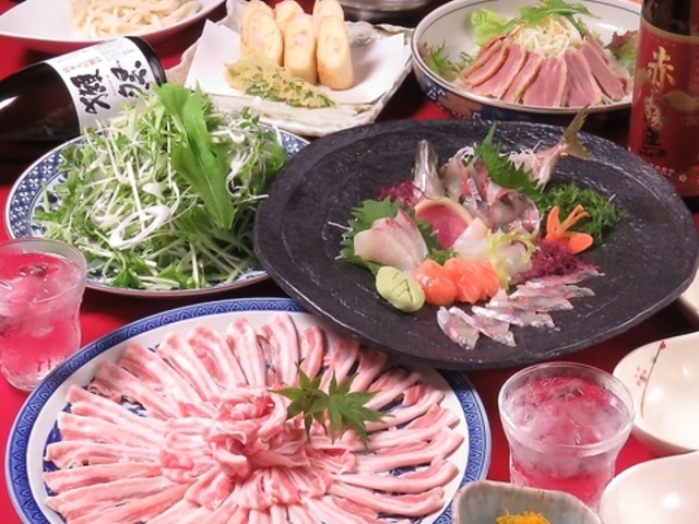 ��̌� �V�_�X�̎ʐ^1