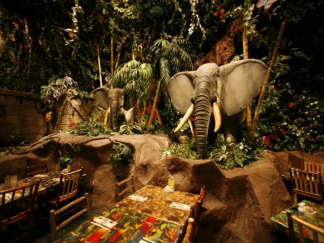 CtHXgJtF CNXsAl̎ʐ^1