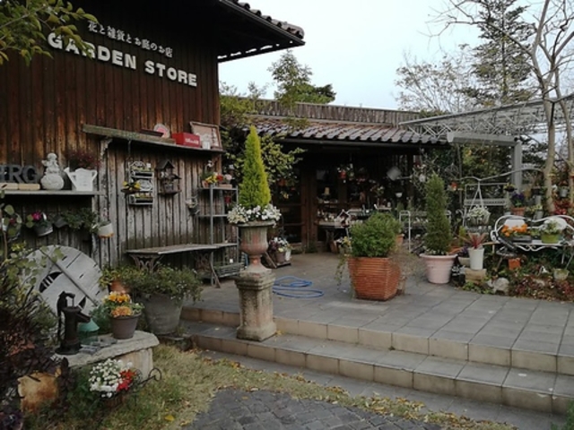 �z�h�i���t�̎ʐ^1