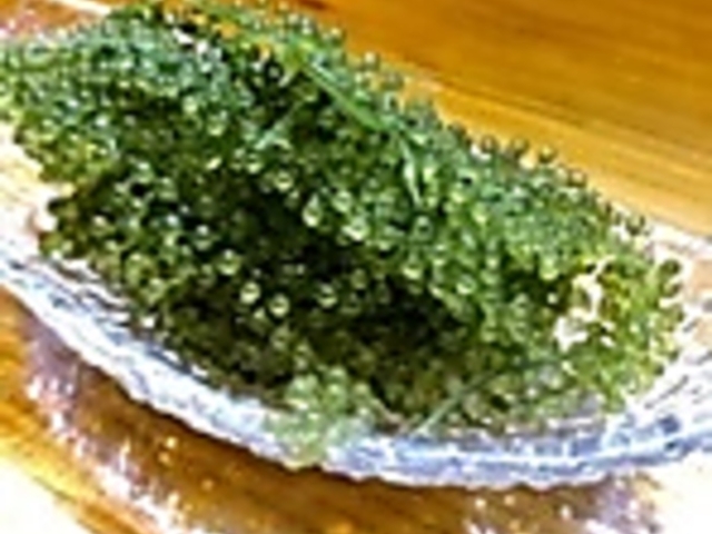 썑_CjO ށ[񂷂Ɓ[̎ʐ^1