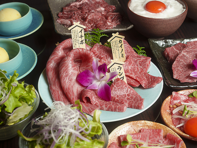 �k�V�n �_�Ђ̎ʐ^1