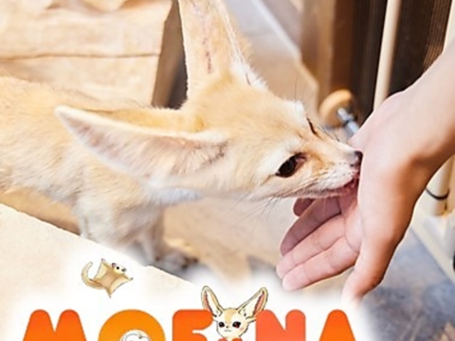 ӂꂠJtF MOFiiNA tB[i ̎ʐ^1