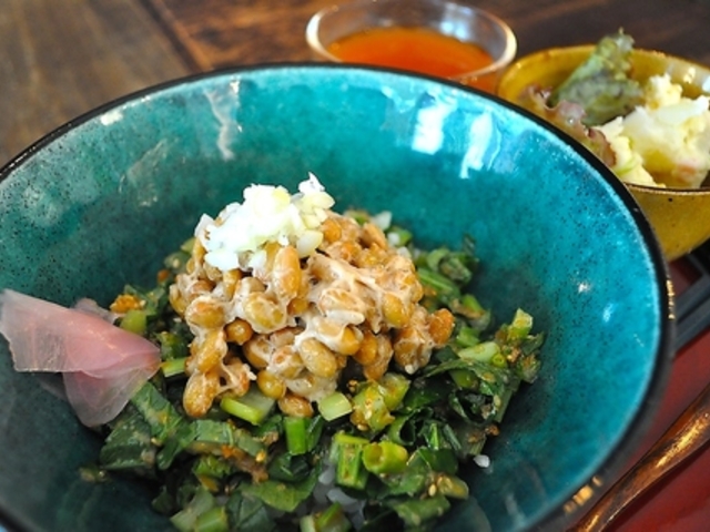 ���l�}���j�J�t�F�_�C�j���O�̎ʐ^1