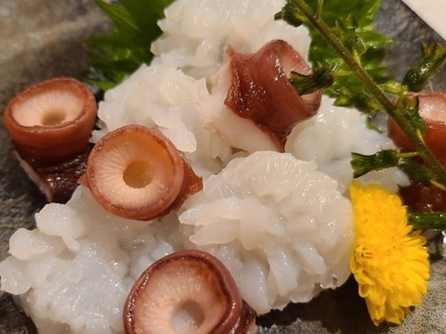 �������Ђ܂Ԃ��̎ʐ^1