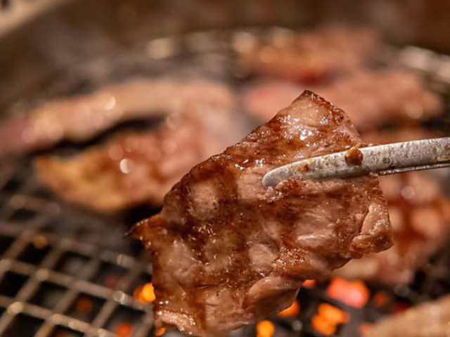 �ē��z�����������c�@�L���{���X�̎ʐ^1