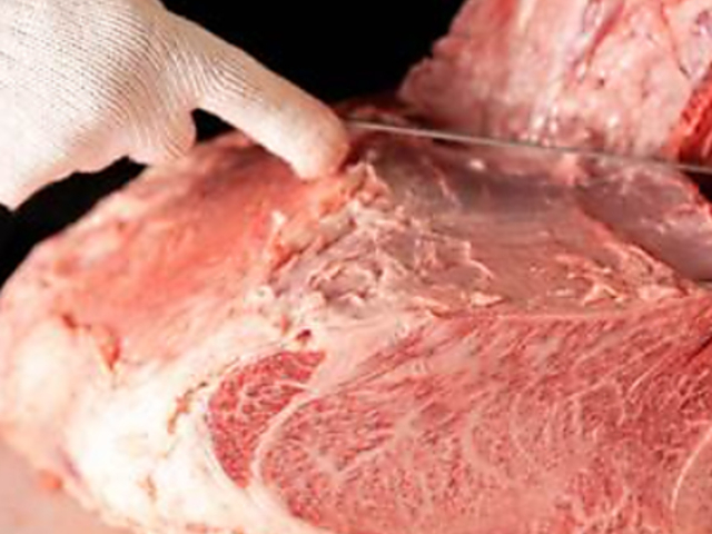 �{�i��O�ē� �ѓc�� �a�J�X�̎ʐ^1