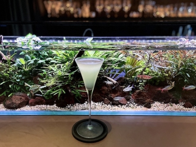 BAR AQUA CAVE o[ANAPCu̎ʐ^1