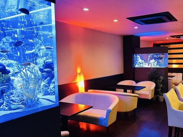 ANAE_CjO BATTERY c̎ʐ^1