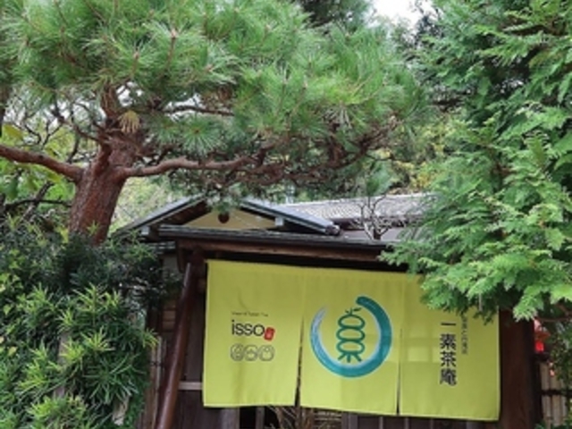 ��f�����̎ʐ^1