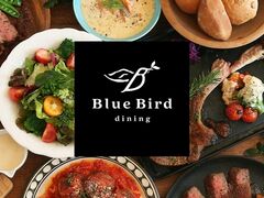 Blue Bird dining u[o[h_CjO̎ʐ^1