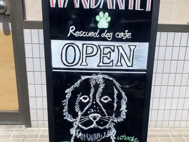 ��񂾂�@ ���Z�X�̎ʐ^1