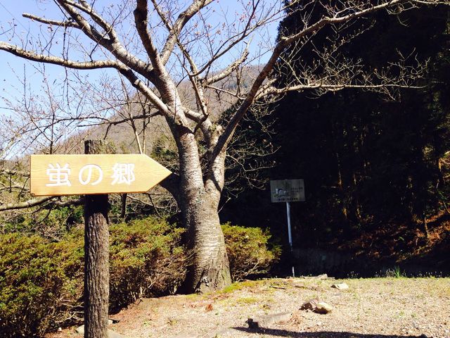 ���R�ق���̗�