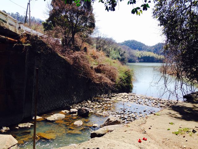 ���R�ق���̗�