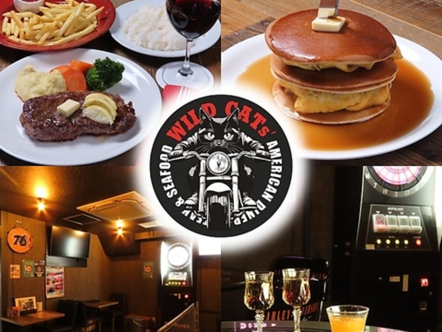 WILD CATs ���C���h�L���b�c�̎ʐ^1