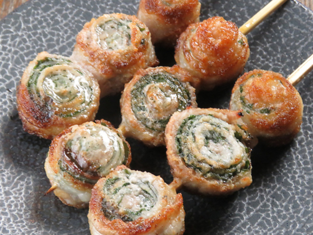 Ē_CjO APOLLO A|̎ʐ^1